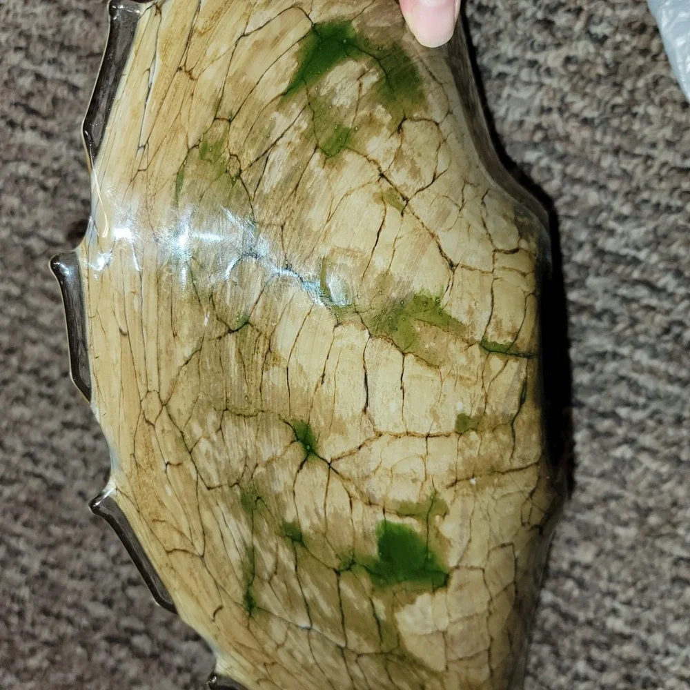Vintage 1970s Beige Green Bowl Polish Cello Jozifina Home Decor Seashell